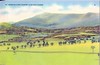 Postcard Mt Mansfield VT from Country Club Golf Course