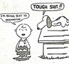 Humor - "I'm Being Sent to Washington" Peanuts Cartoon
